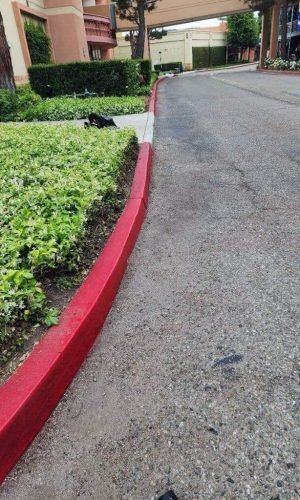 Cleaned sidewalk and red curb after pressure washing in California.