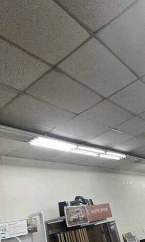 Commercial ceiling cleaning in California using professional pressure washing services.